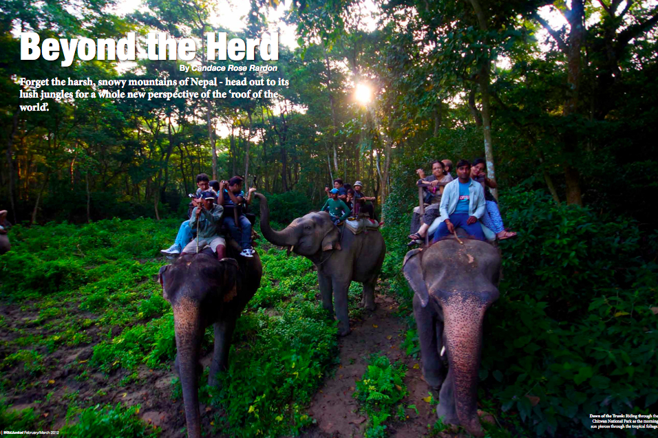 Beyond the Herd Travel Magazine - Article on Nepal