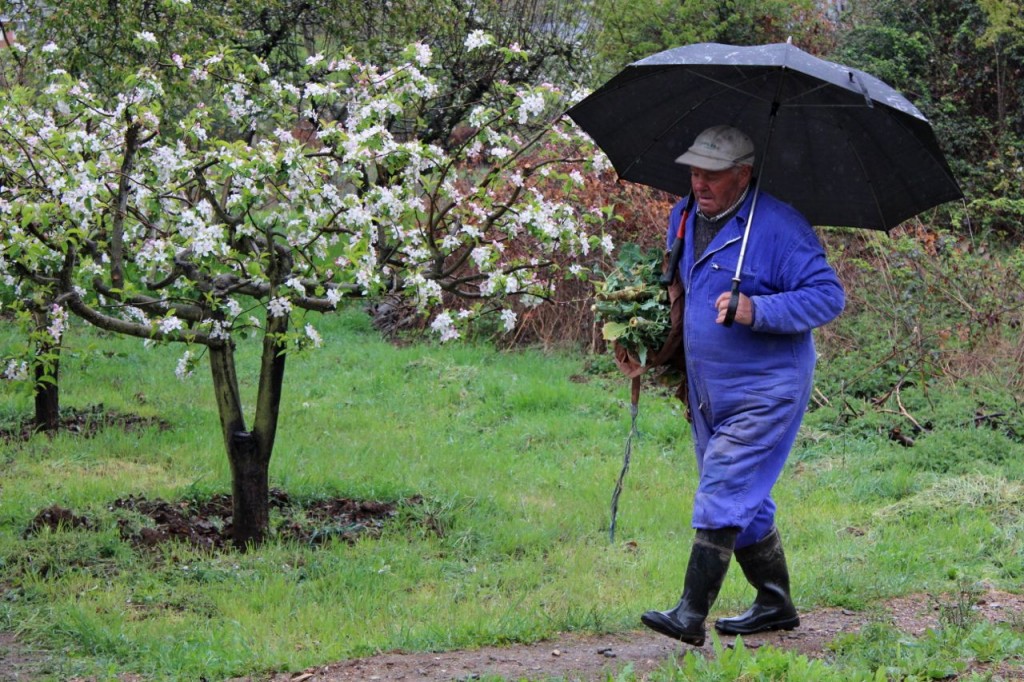 Walking the Camino de Santiago