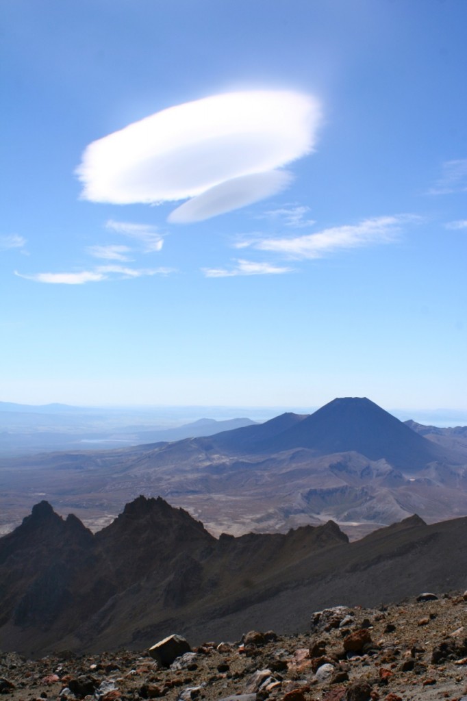What do you do when you travel?