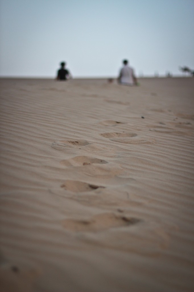 Thar Desert - jeep safari