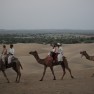 IMG_5598-2