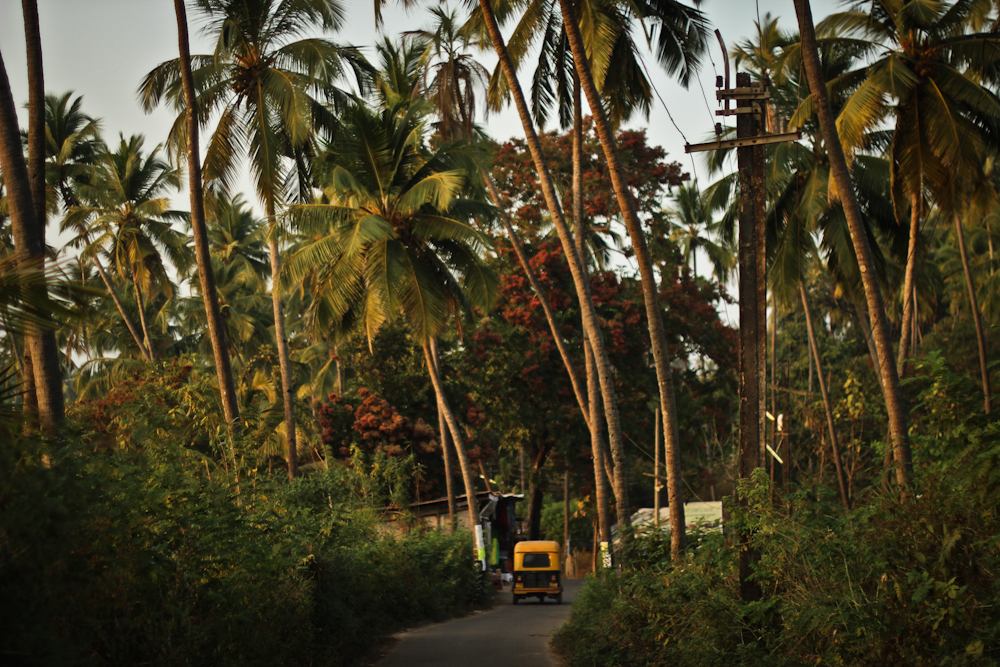 At Home in Goa Home in Goa