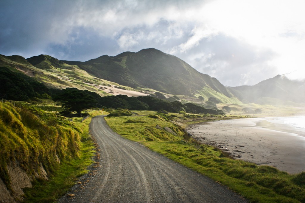 New Zealand scenery
