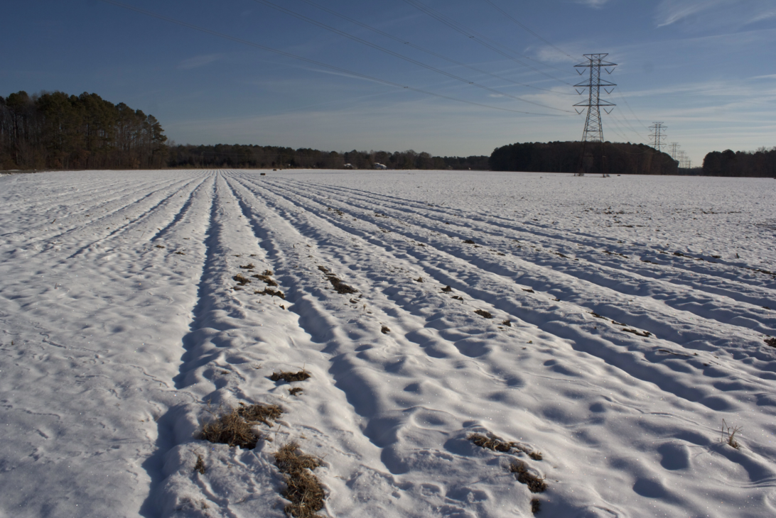 Travel photo of the day: Snowfields in Suffolk.