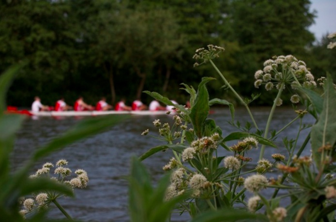 A not-exactly-official guide to Oxford’s rowing culture.