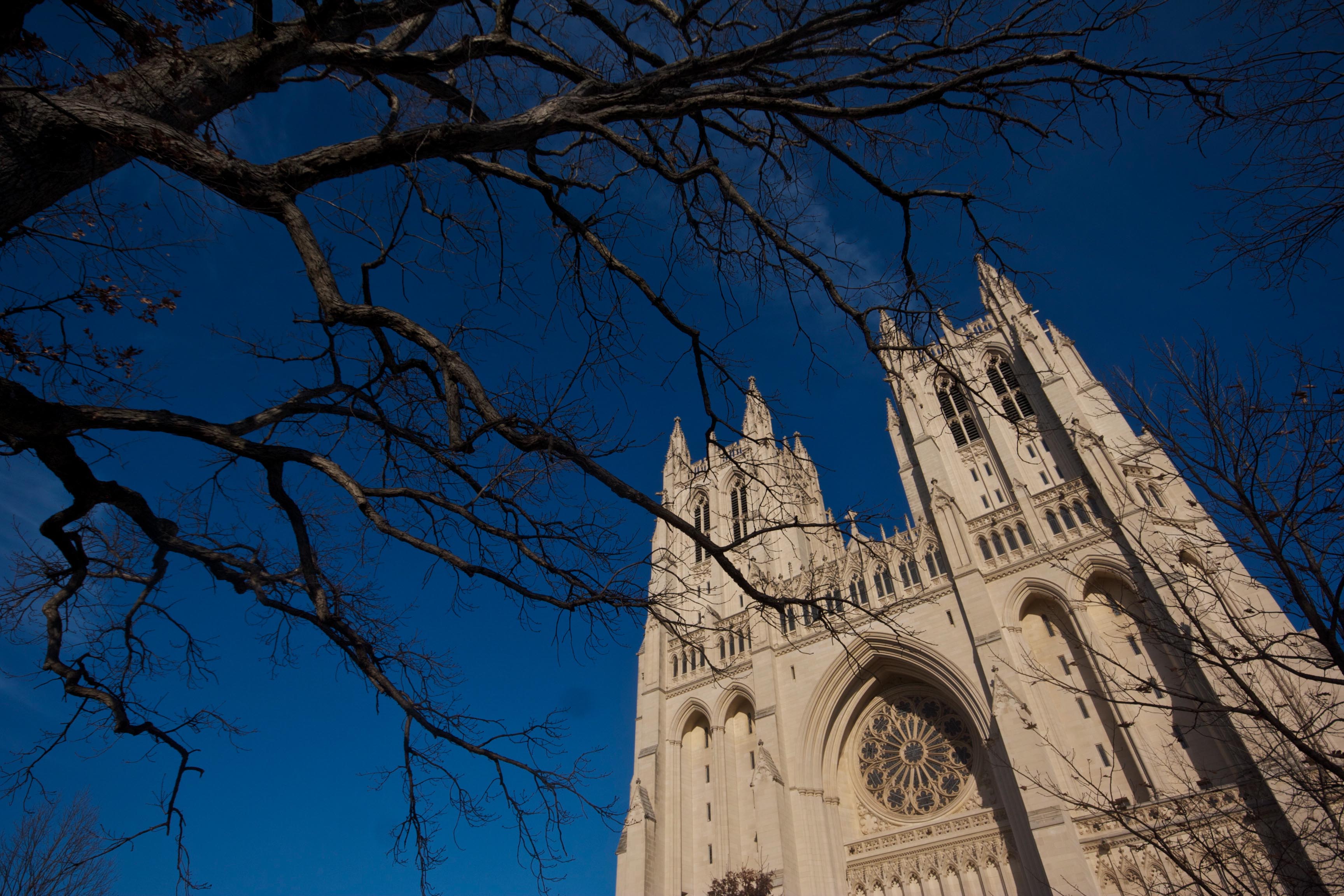 My happy place: At the National Cathedral in Washington D.C.