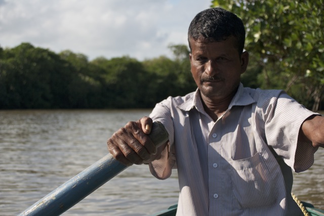 Behind the oars: In the mangrove forest of Pichavaram, India.