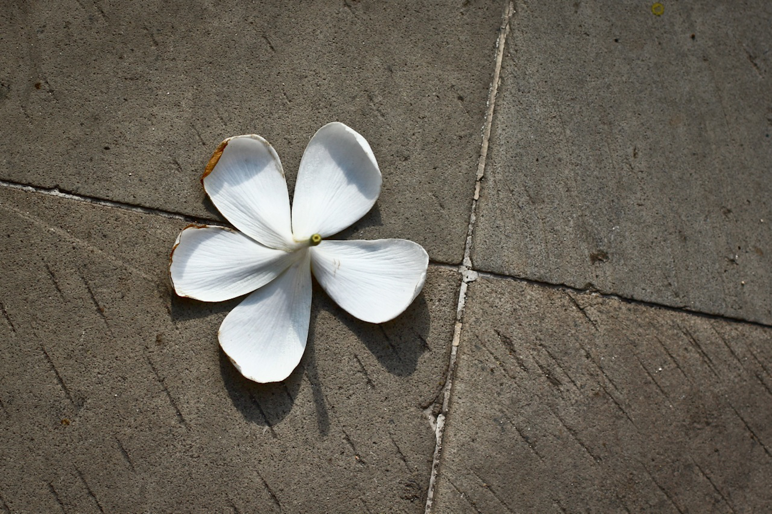 “Finding another door”: In search of surrender at Jimbaran Puri Bali.