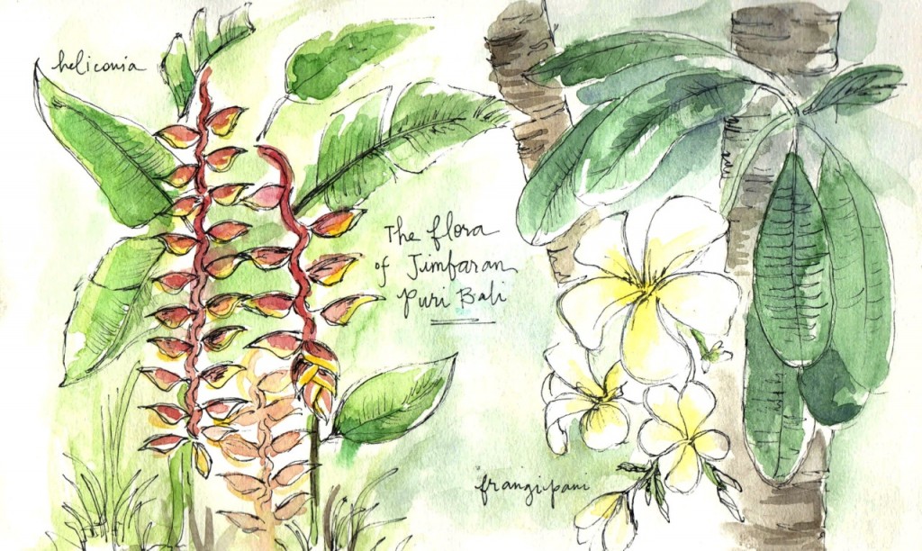 Travel sketches of Bali flowers