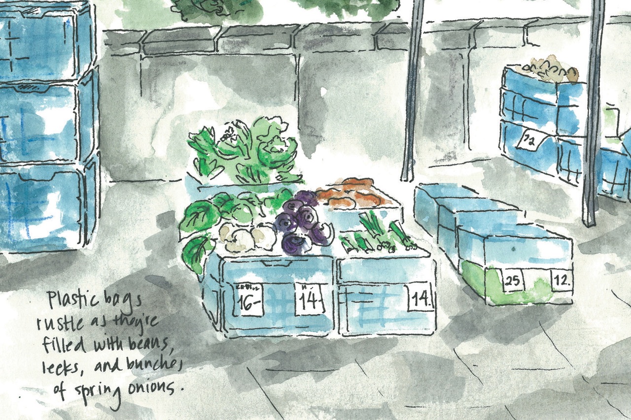 Sketching the Czech Republic: Serendipity in a cemetery.
