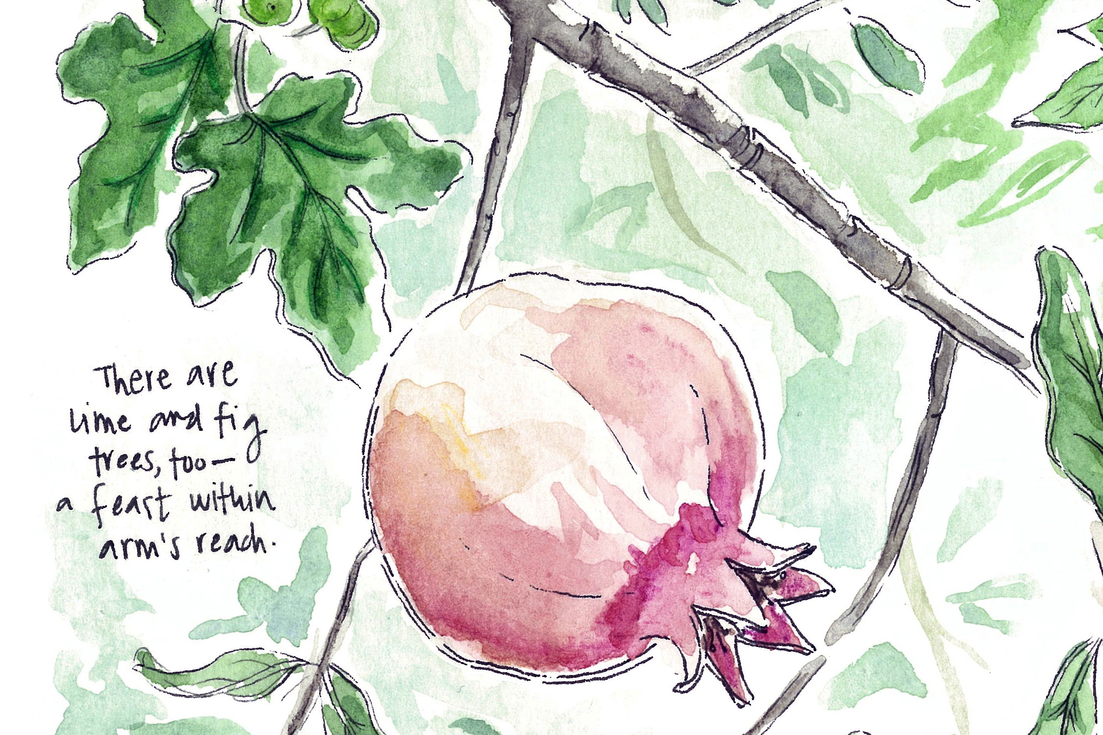 Sketching Bosnia and Herzegovina: Painting sessions and pomegranates in Mostar.