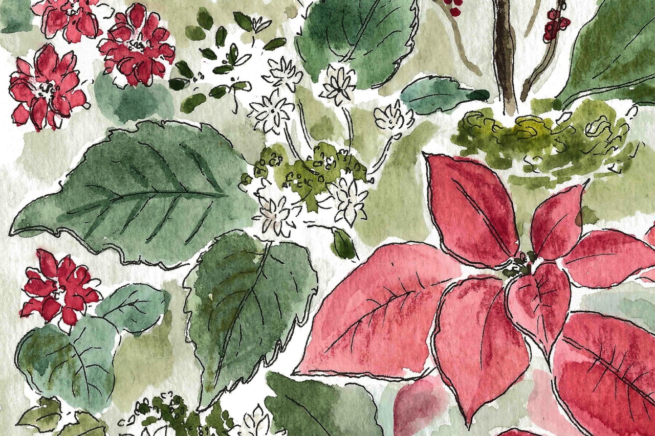 Sketching Christmas spirit: Poinsettias and post office revelations.