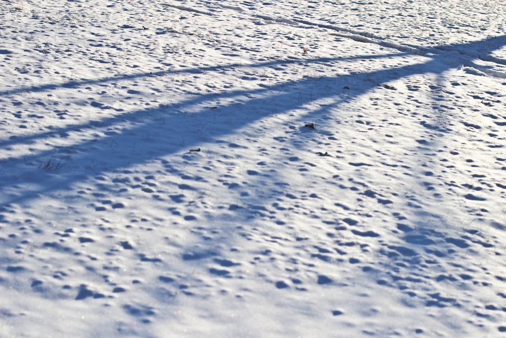 Shadows in the snow