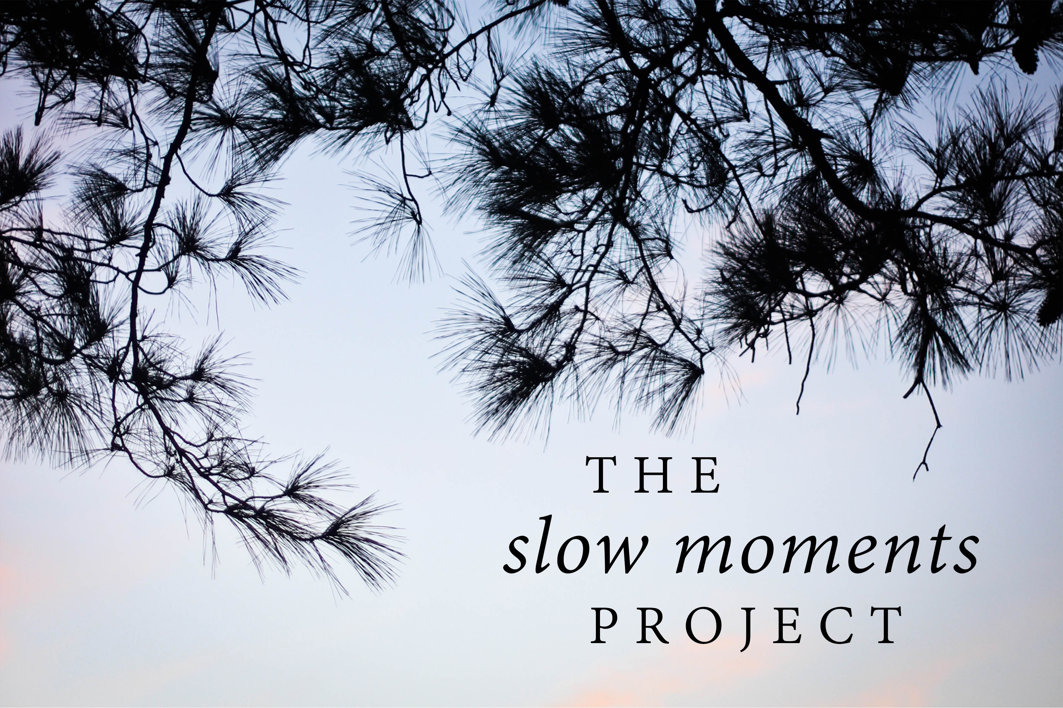 “Find your eternity in each moment”: In search of Slow Moments.