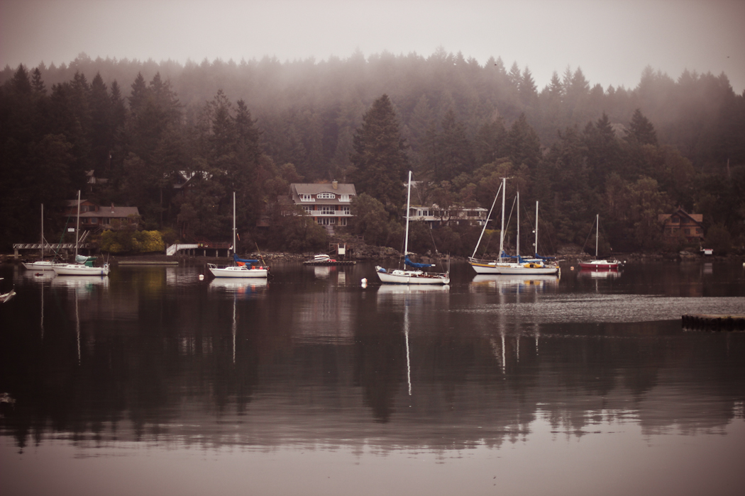 One last look at Salt Spring Island.