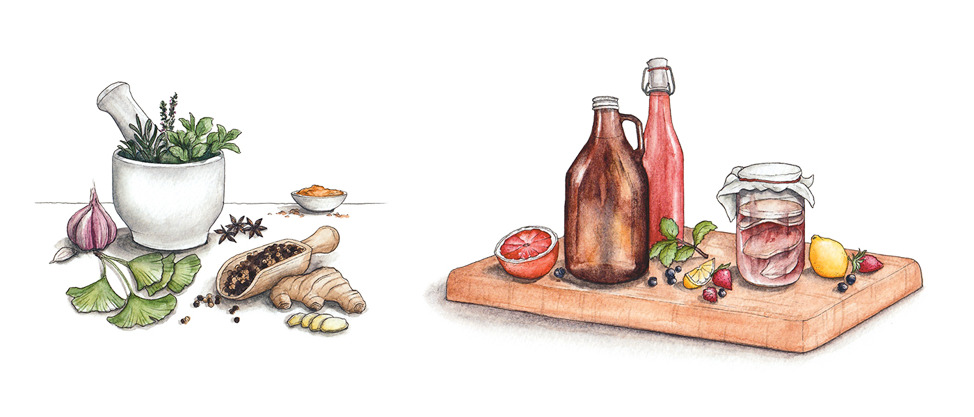 watercolor cookbook illustrations